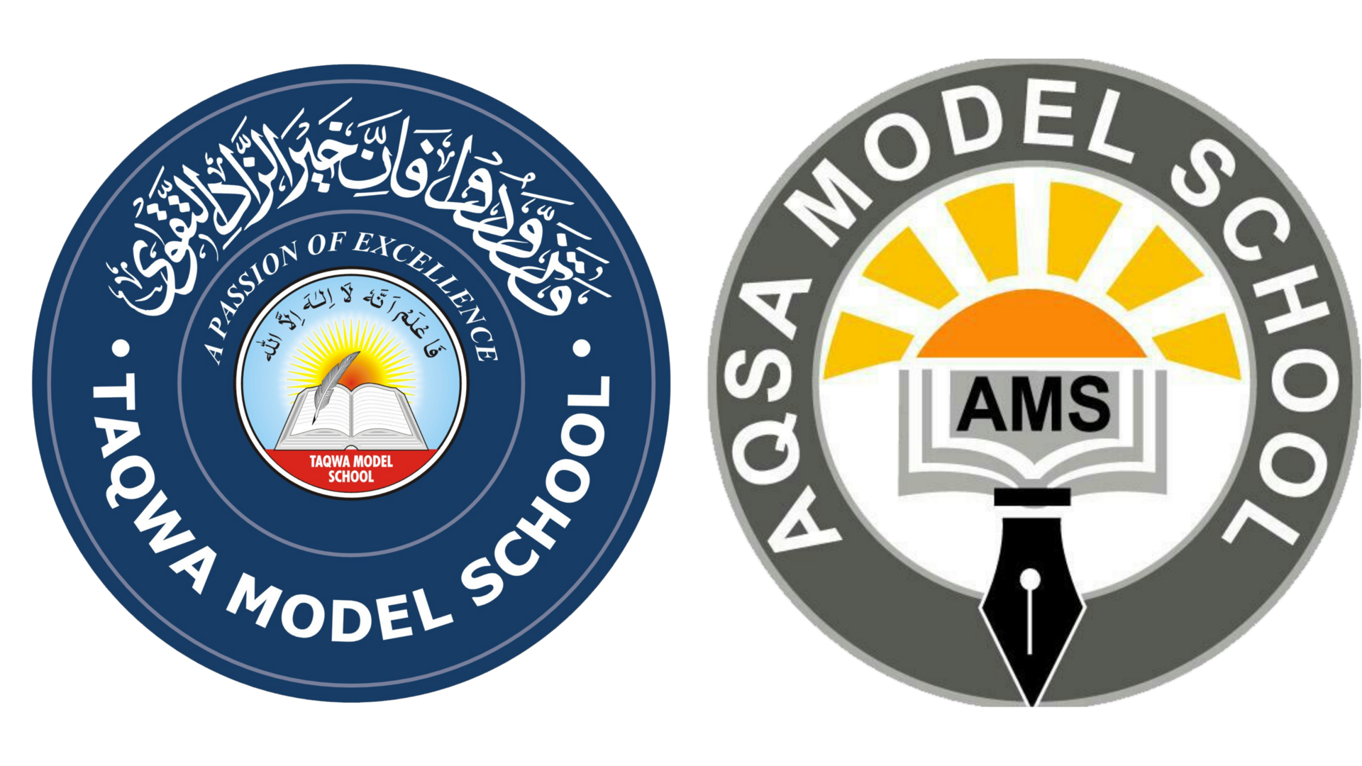 tmsams.com